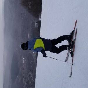 Meet your Posher, Bacon